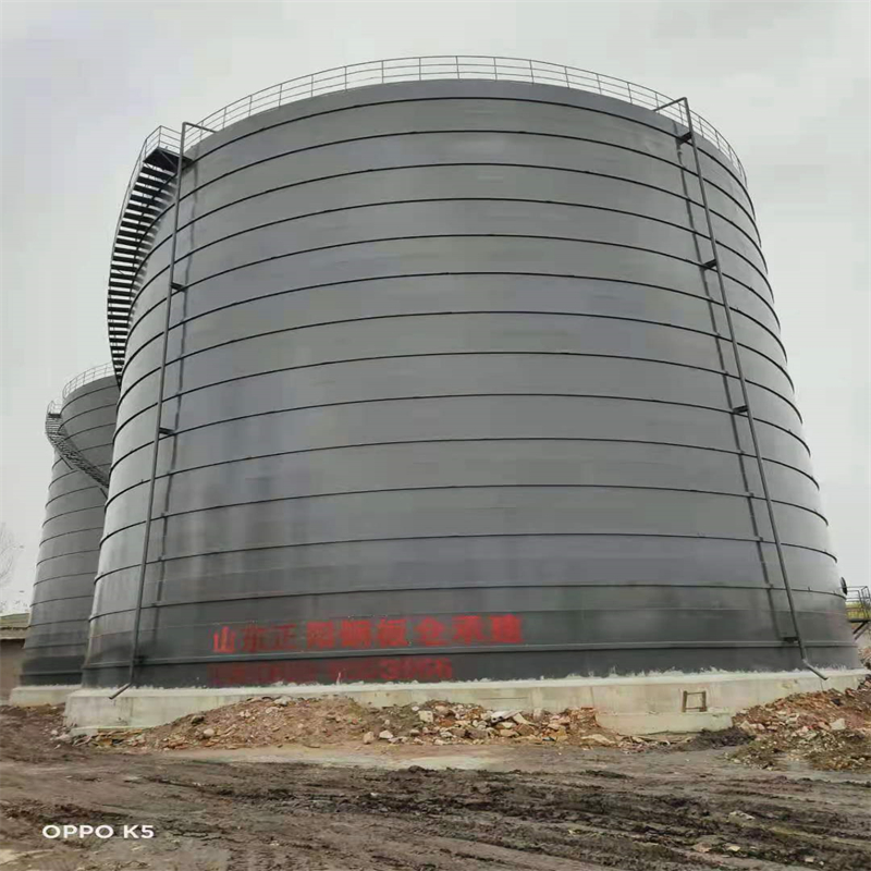 高埗镇3万吨大型钢板库