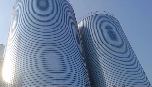 高埗镇2座混凝土高架卷板仓